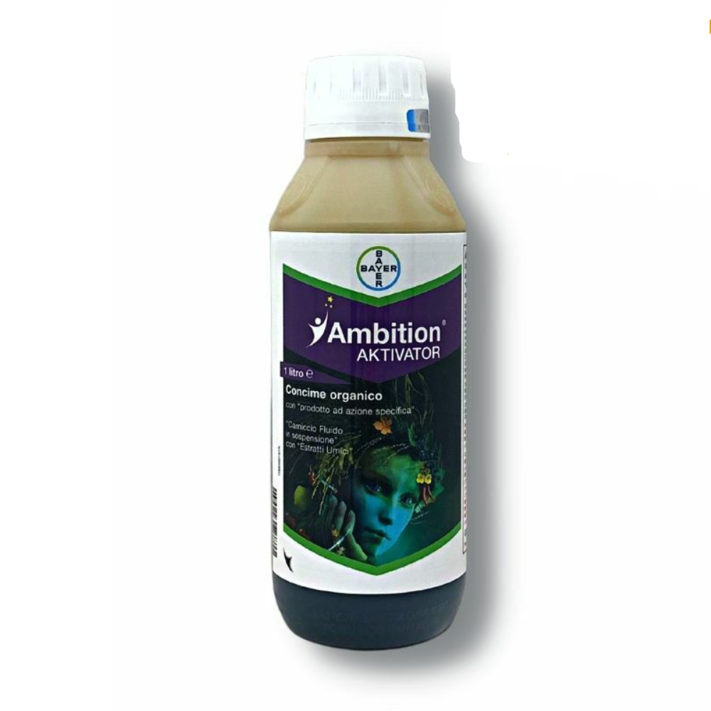ambition 1 (1)