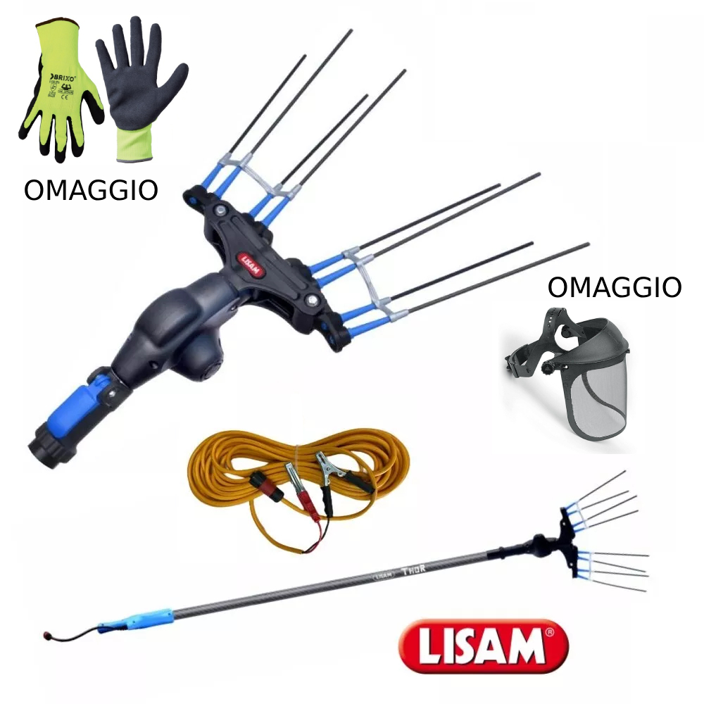 s-l1600 (36) (1) (2) (1)