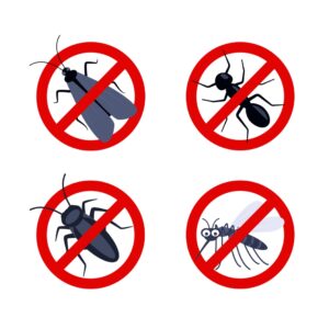 Disinfestazione