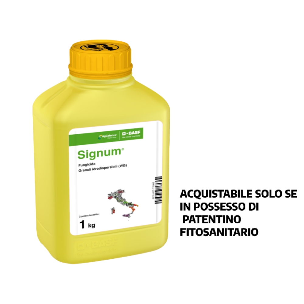 Signum_58027702_IT_720x720-Photoroom