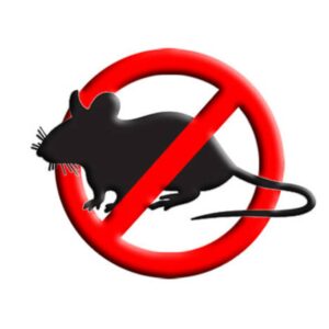 Derattizzazione