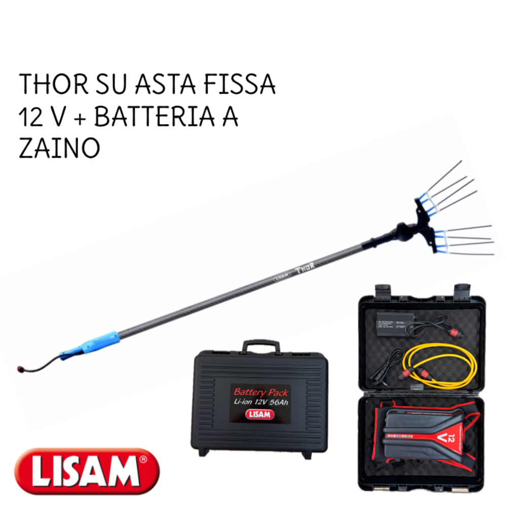 thor 12v + zaino