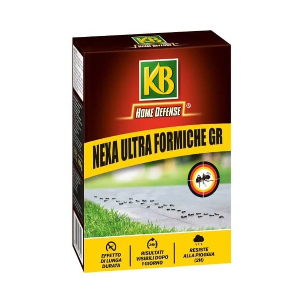 formiche NEXA