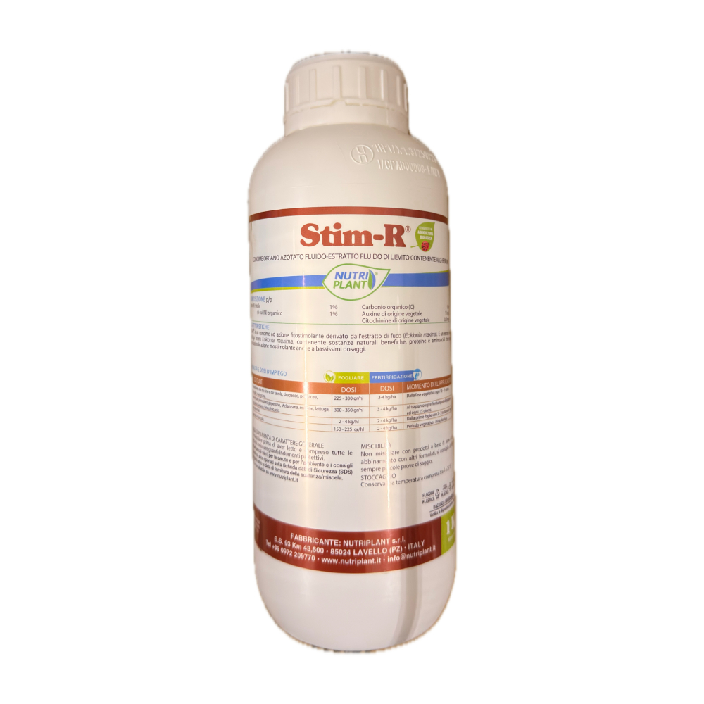 stim r 1 l